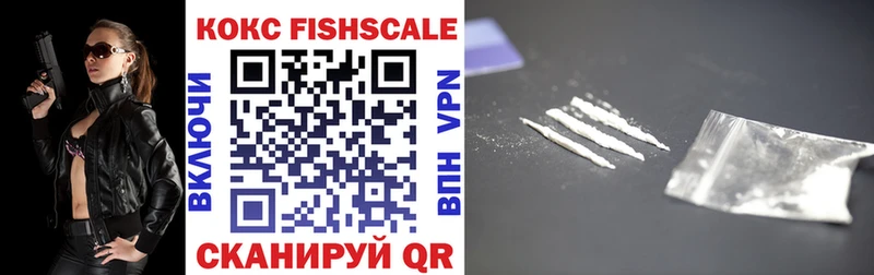 COCAIN Fish Scale  mega маркетплейс  Перевоз 